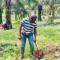 Plantation Management